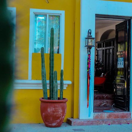 エル エンカント イン＆スイーツ San José del Cabo エクステリア 写真