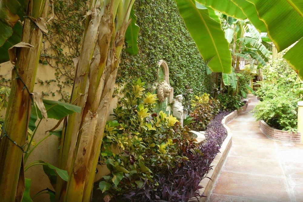エル エンカント イン＆スイーツ San José del Cabo エクステリア 写真
